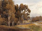 unknow artist A Grove of Eucalyptus in Spring Spain oil painting artist